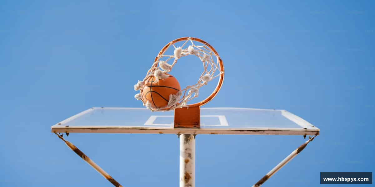 熊猫体育中国官网每一次汗水，都是成功的铺垫。